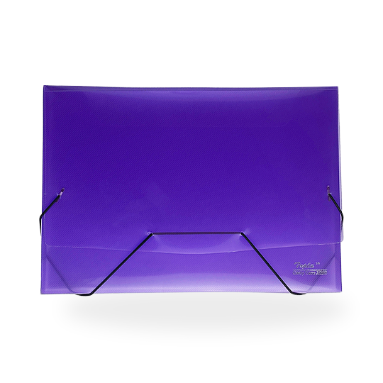 Topla Carry Case 2090 - Ungu