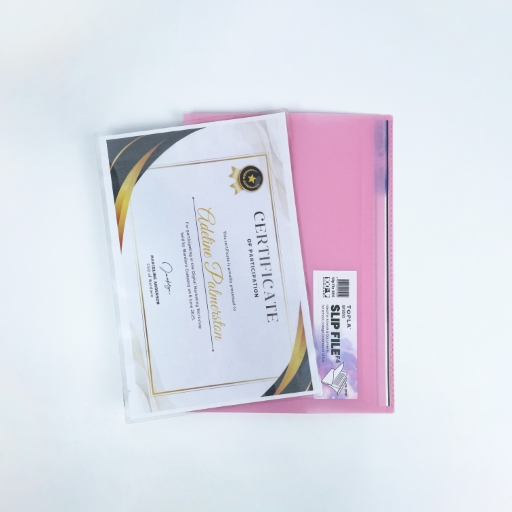 Slip File 3010 Pastel